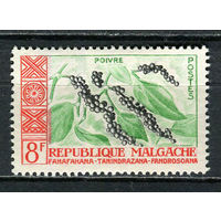 Автономная Малагасийская Республика под французским протекторатом - 1960 - Флора. Перец 8Fr - [Mi.452] - 1 марка. MNH.  (Лот 35HV)-TG3P24