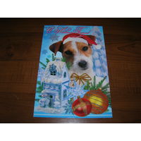 С Новым годом Россия 2005 год двойная подписана