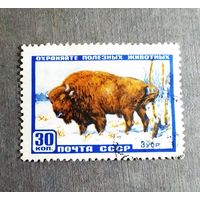 Марка СССР 1957 год Зубр