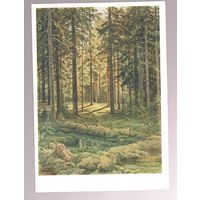 ОТКРЫТКИ. СССР Живопись. И. Шишкин Пейзаж 1963