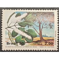 Бразилия 1990. Флора. Деревья