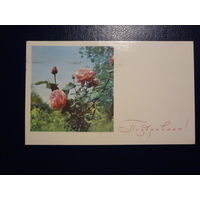 Поздравляю!  Розы.  1968 г.  подписанная.