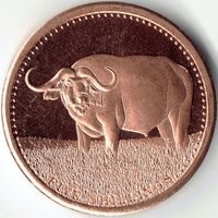 Сомали 5 шиллингов, 2013 UNC