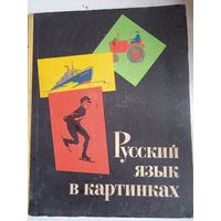 Русский язык в картинках  ч.2