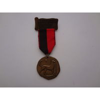 Медаль 1995. Фридрихсхафен. Выставка собак(?).