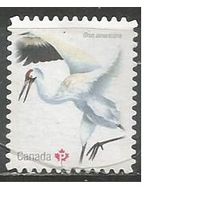 Канада. Американский журавль. 2018г. Mi#3210.