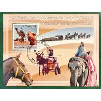 Мозамбик 2009. Ездовые животные. Блок