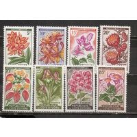 ФФ1 Кот ди Вуар 1961 Цветы