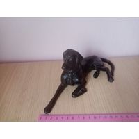 СОБАКА КАСЛИ