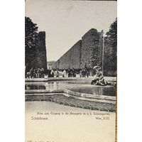 Открытка Автрия Вена