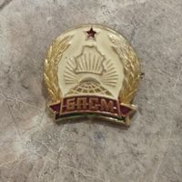 Фрачный знак. БПСМ. Белорусский патриотический союз молодежи. 1997 год.