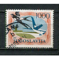 Югославия - 1985 - Птицы 1000Din. Авиамарка - [Mi.2099C] - 1 марка. Гашеная.  (Лот 68HM)-T2P13
