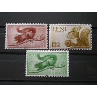 Испанская Ифни 1955 Белочки