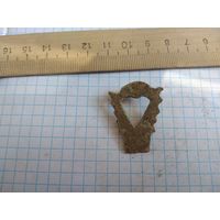 Конина красивая. Находка