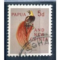 Британские колонии - Папуа Новая Гвинея - 1961/63г. - ландшафты, виды, местные мотивы, райская птица, 5 P - 1 марка - гашёная [Mi 31]. #3-WB-78-A-1