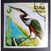 Марка Куба 1989 год Птицы