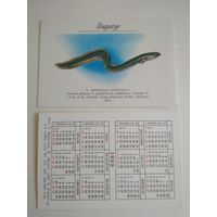 Карманный календарик. Рыбы, Литва. 1988 год