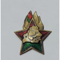 Пионерский значок. 90е годы Беларусь. Латунь.