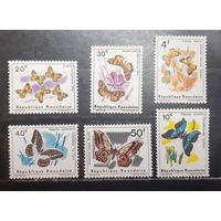 Руанда. Фауна. Бабочки (1502)