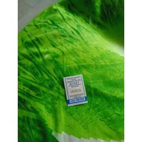 Талон на проезд ( Борисов,серия БХ-004) 2023 год