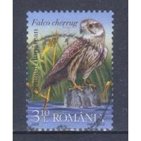 [260] Румыния 2009. Фауна.Хищные птицы.Сокол-балобан. Гашеная марка.