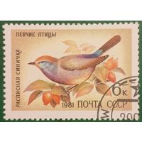 СССР 1981. Фауна. Птицы. Расписная синичка. Марка из серии