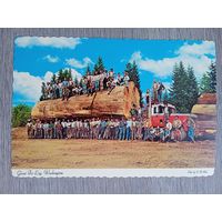 Этнография. США. Гигантское еловое бревно из Западного Вашингтона