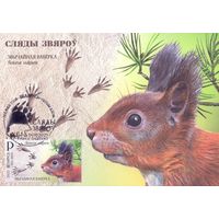 Беларусь 2025 4 Картмаксимума фауна следы зверей