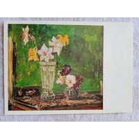 Шишко. Нарциссы