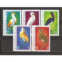 ФФ1 Болгария 1980 Птицы