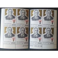 Беларусь 1996 2 кв.блока угловые и с номером заказа, 100л рожд. Жукова. Разновидность окраски бронзы.