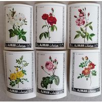 Аджман. Розы.