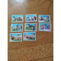 Румыния серия марок 1990 г. Собаки.