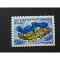 1983 СССР. Рыбы. Бычок-кругляк