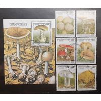 Камбоджа. 2000 год. Флора. Грибы. Блок и 6 марок (1001)