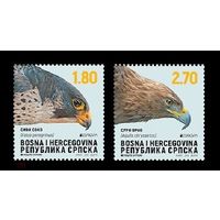 2019 Босния и Герцеговина (серб.) 788-789 Европа. Птицы. Фауна. Беркут и сапсан **