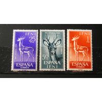 Испанская Ифни 1964 Газели