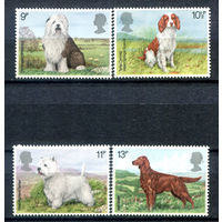 Великобритания - 1979г. - собаки, шоу собак - 4 марки - полная серия, MNH [Mi 781-784]. #3-GB-Z-1-21