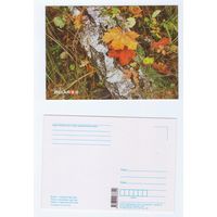 Беларусь. 2019. Планета Беларусь