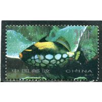 Китай. Морская фауна. Рыбы