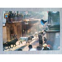 Этнография. Испания, Памплона. Праздник Сан Фермин. Бегущие по улице мальчики и быки