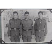 Фото в коллекцию