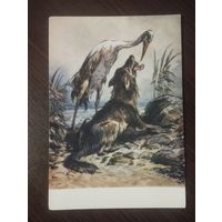 "Волк и Журавль". Худ. Таранов.Чистая.1956г.