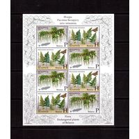 Беларусь-2012,(Мих.917-918) , ** , Папоротники