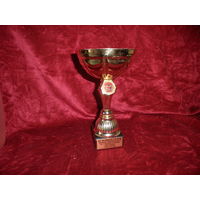 Кубок ДОСААФ республика Беларусь 2-е место Чемпионат Минской области по стрельбе пулевой среди юношей Минск 03.03.3012 .С рубля.