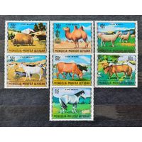 Монголия 1971г. Серия из 7 марок. Животноводство. **