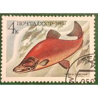 СССР 1983. Фауна. Рыбы. Нерка красная