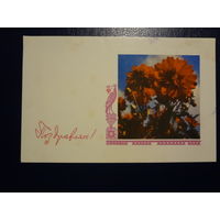 Поздравляю!  Георгины.  1967 г.  подписанная.