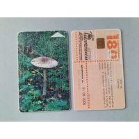 Телефонная карта. Гриб. Белтелеком