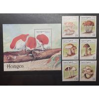 Сахара. 1997 год. Флора. Грибы. Блок и 6 марок (1002)